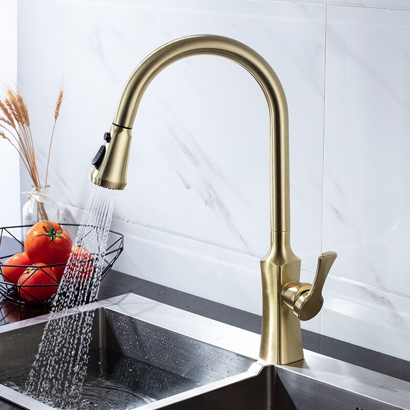 Golden brushed SUS304 stainless steel flexible rotating single handle hot and cold pull out the kitchen faucet (2) Golden brushed SUS304 stainless steel flexible rotating single handle hot and cold pull out the kitchen faucet (2)
