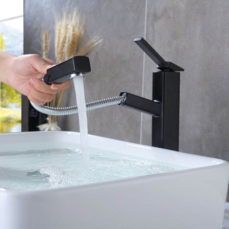 Pull-out basin faucet Pull-out basin faucet